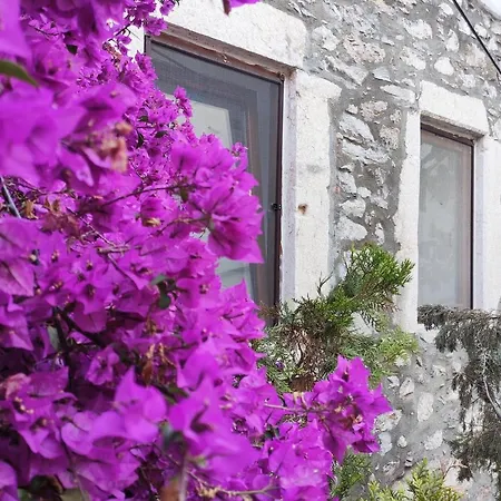 Appartamento 18th Century Renovated Stone House, Terrace, Free Fast Wi-fi *