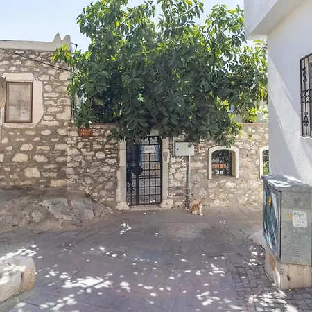 Lejlighed 18th Century Renovated Stone House, Terrace, Free Fast Wi-fi Bodrum